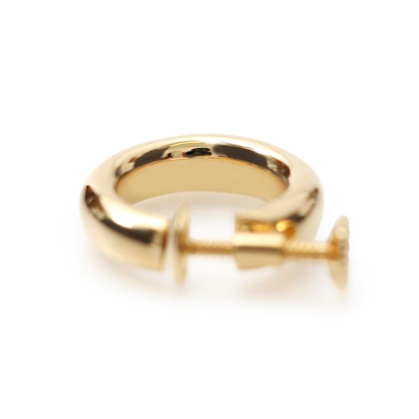 K10 Eternal Earring