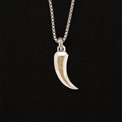 Simplicity Claw Amulet Pendant / GP032