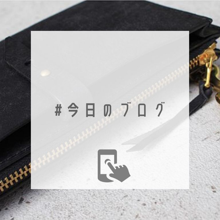 財布とポーチのいいとこ取り【saranam : スラントphoneポーチ】