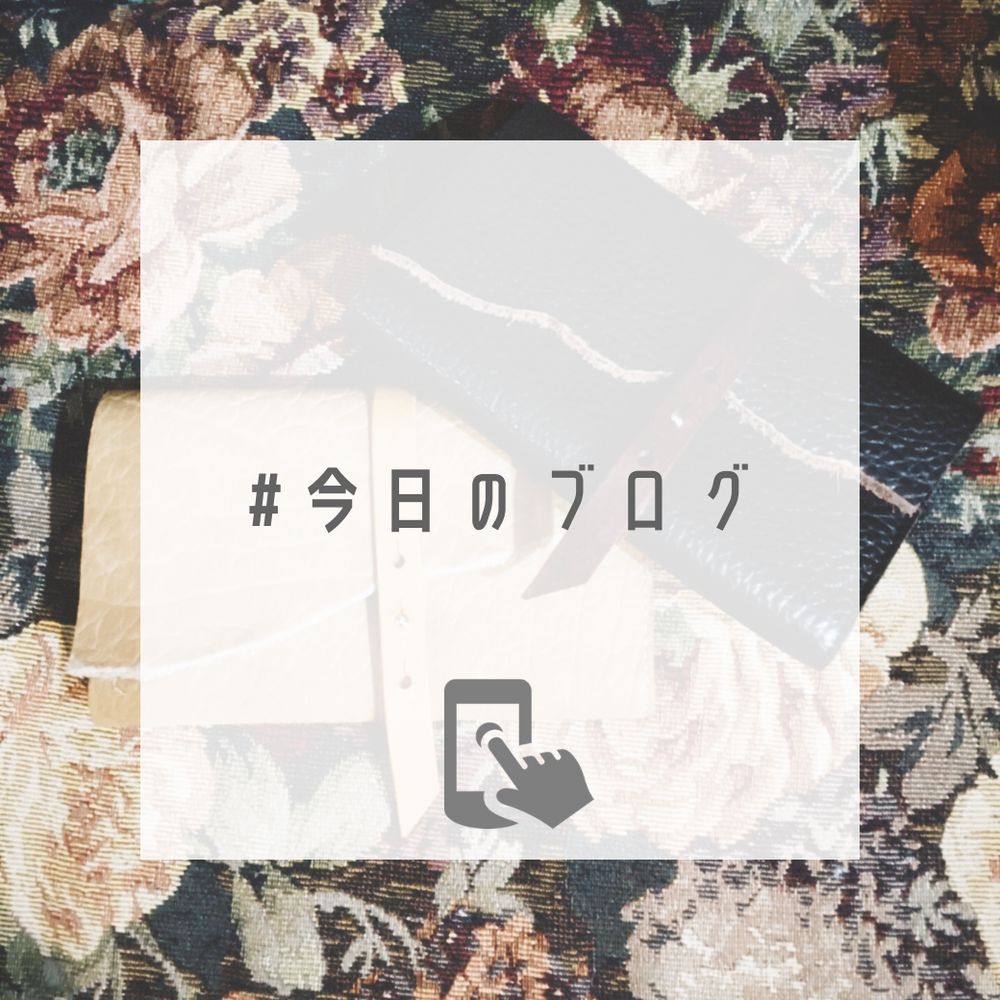 大きな財布が好き【saranam : 江戸財布 大 / バイソン】