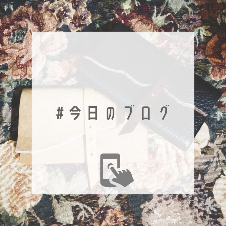 大きな財布が好き【saranam : 江戸財布 大 / バイソン】