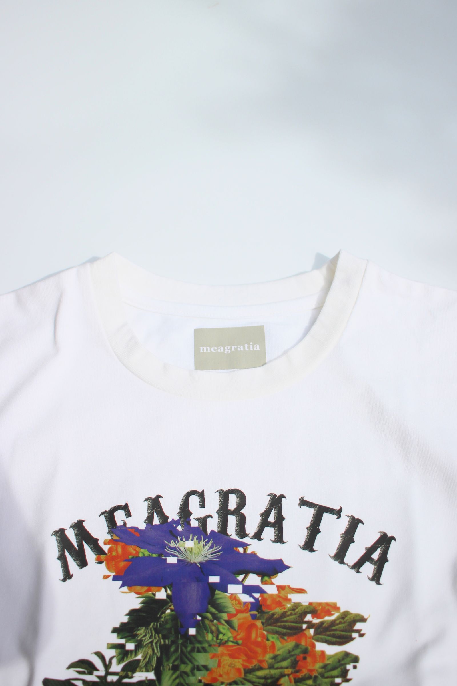 Print long sleeve Tee  / プリントロングスリーブT shirt