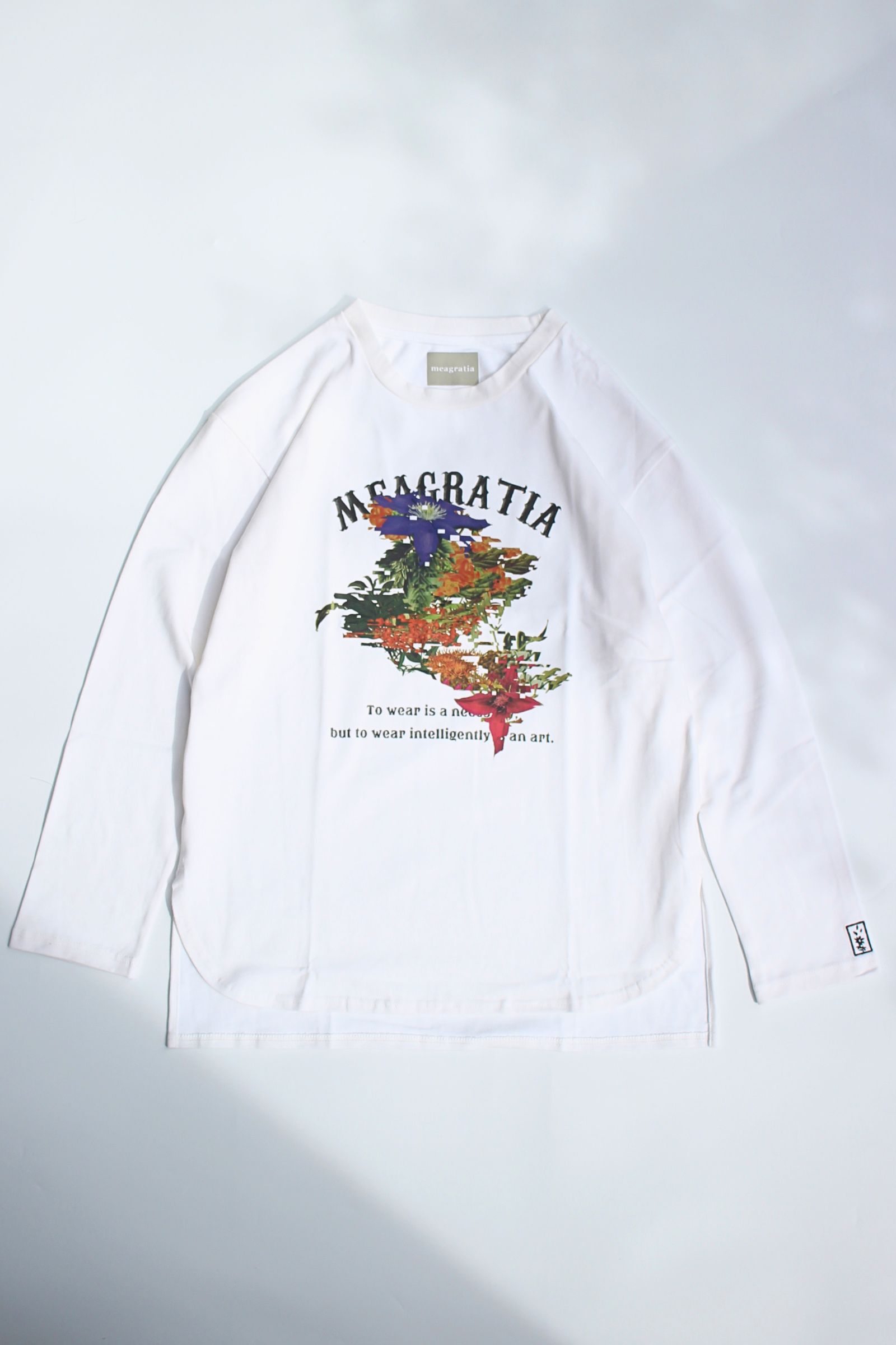 Print long sleeve Tee  / プリントロングスリーブT shirt