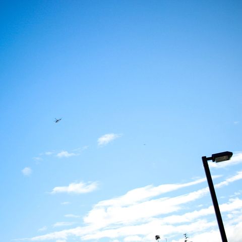 冬の晴れ間のカラフル ~2017/12/1 晴れ~