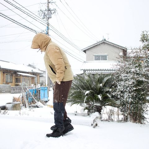 ダウンが活躍する日 ~2018/01/11 雪~