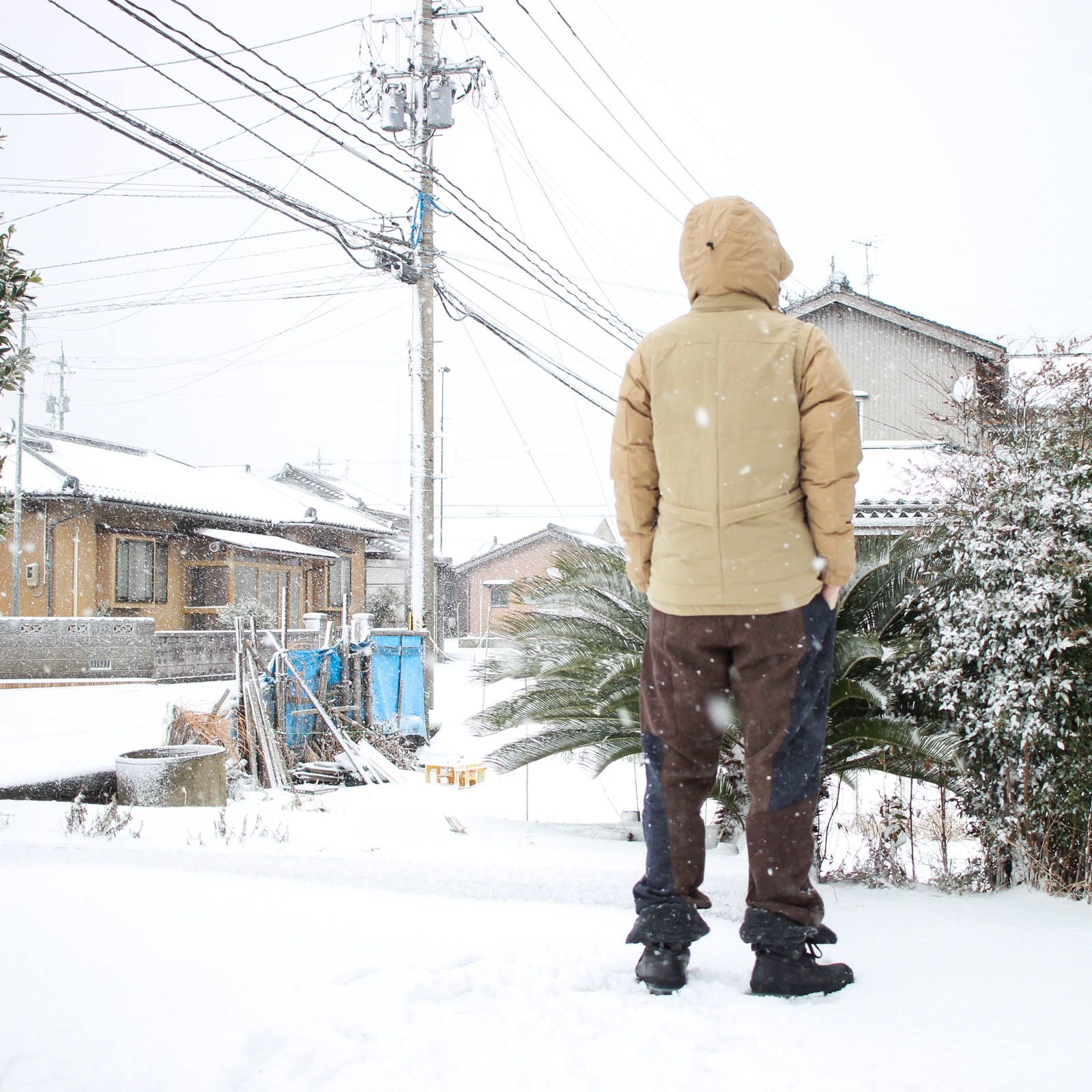 ダウンが活躍する日 ~2018/01/11 雪~