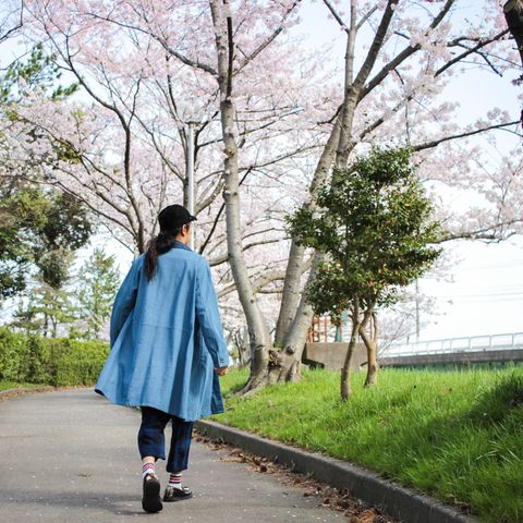 花見散歩 ~2018/04/04 晴れ~