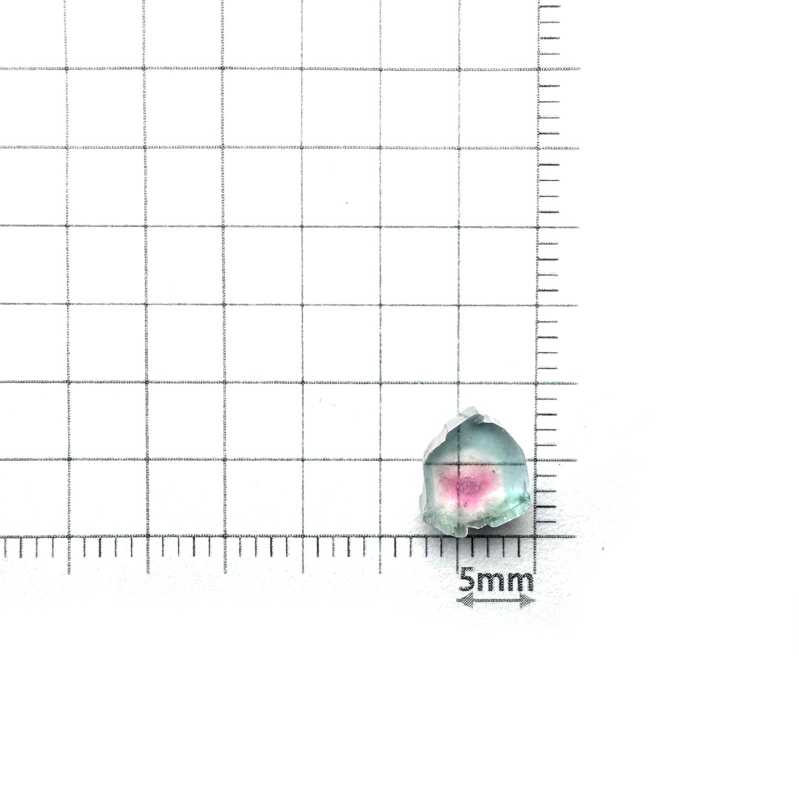 ウォーターメロントルマリン 原石スライス アフガニスタン産 1.67ct [250430217]7x6.8mm前後