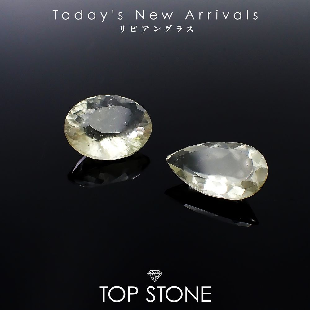 ’25 12月20日（土）新着 | リビアングラス