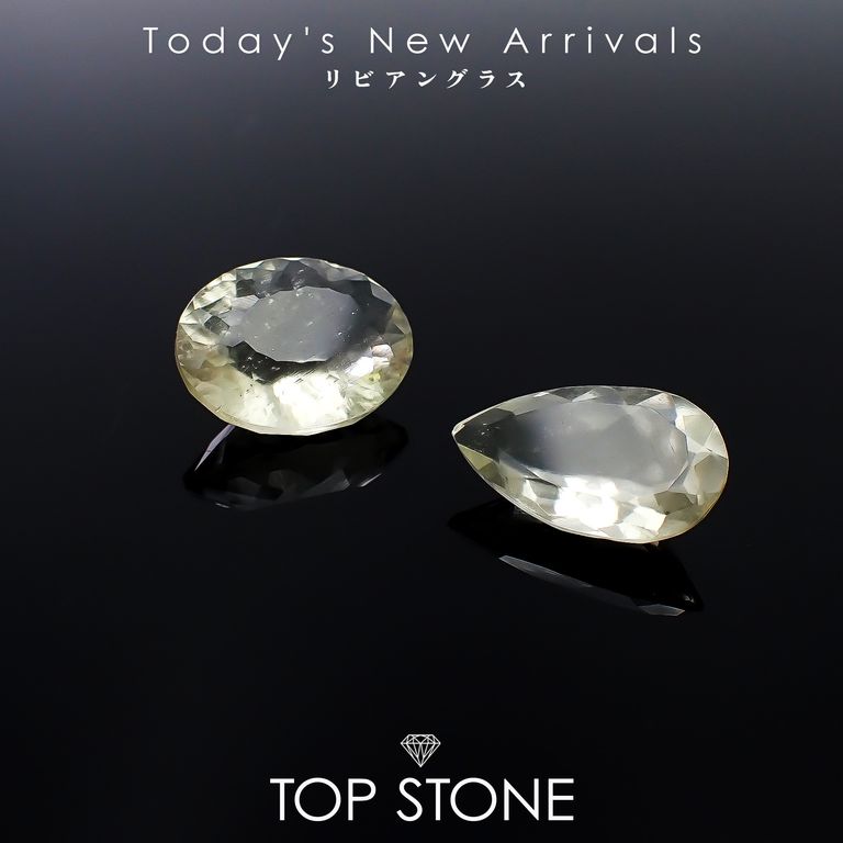 ’25 12月20日（土）新着 | リビアングラス