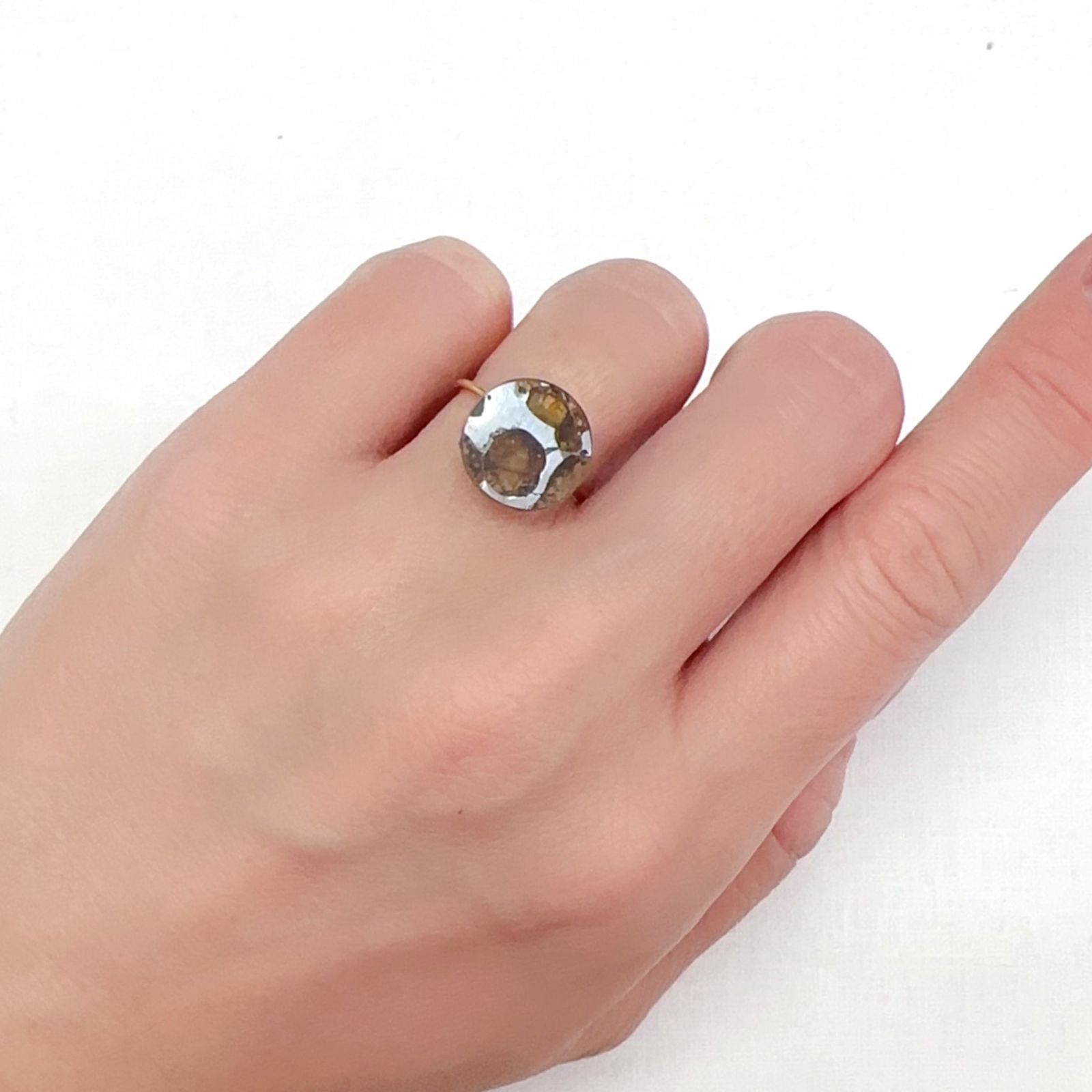 パラサイト隕石Sericho トリプレット 発見地:ケニア 3.84ct[240125706]12x12mm前後