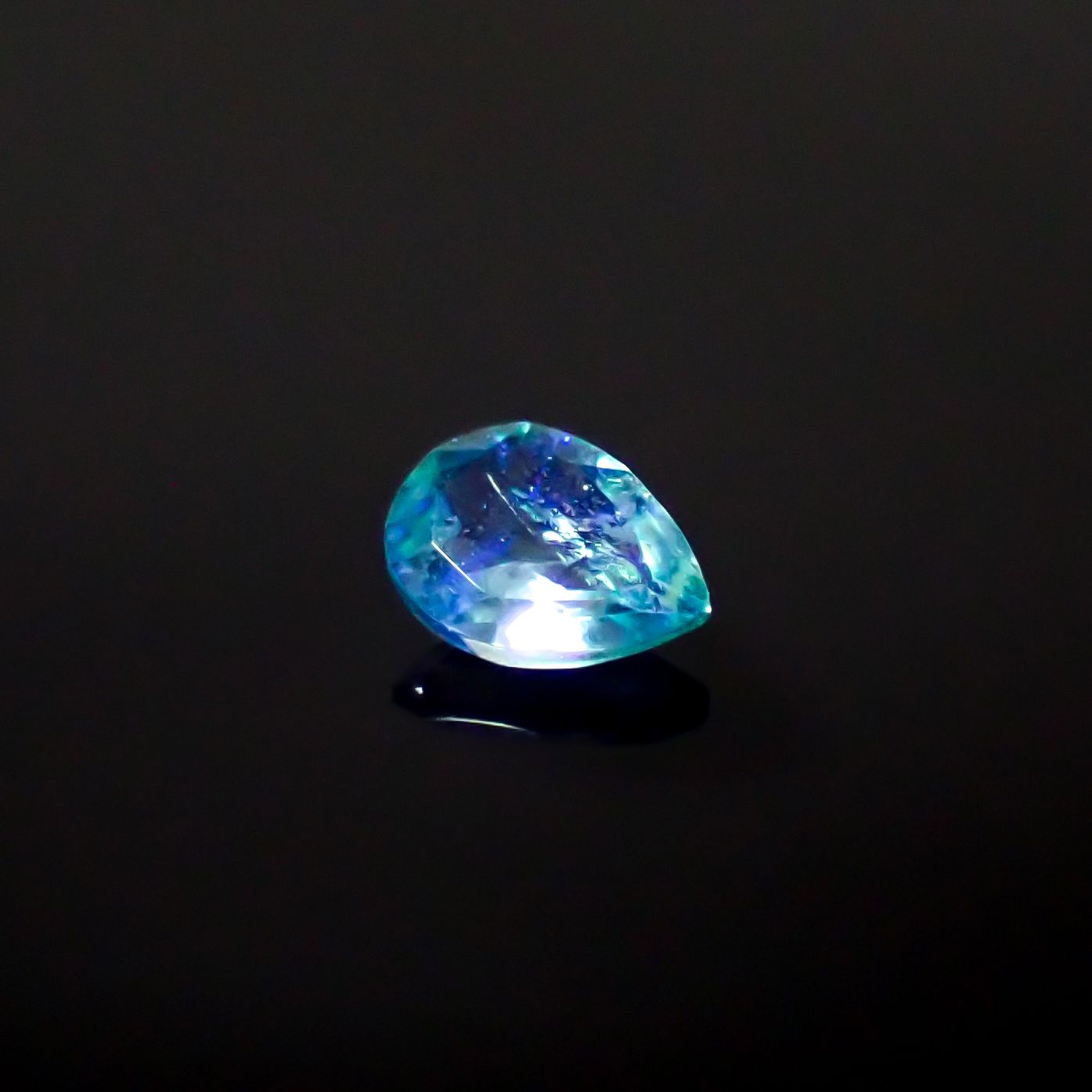 ブルーグリーンコーネルピン 4F3B0C7F-7596-4C81-96CA-