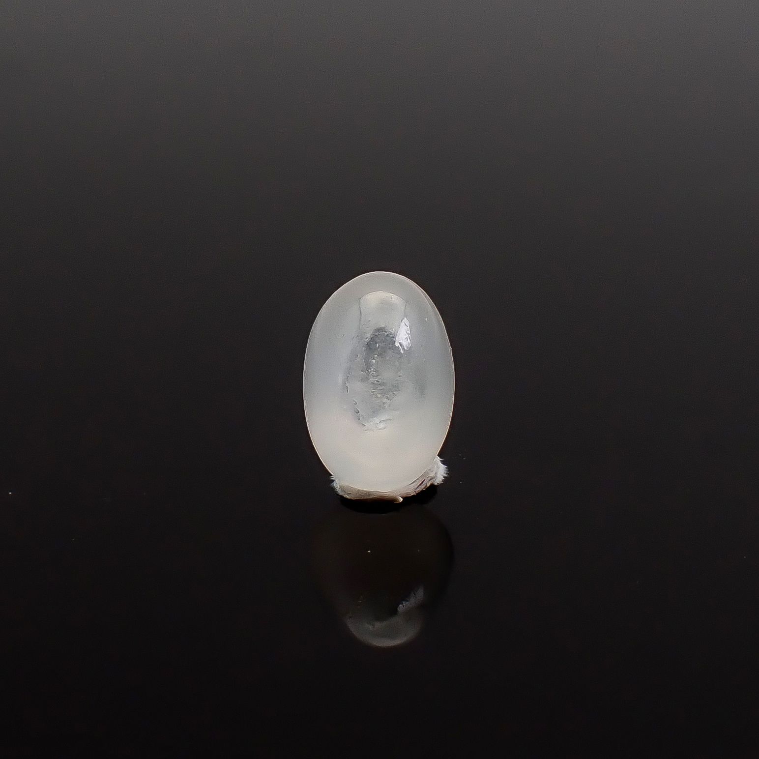 ジルコンキャッツアイ ビルマ産 0.76ct / 5.9x4mm前後 [260832879]