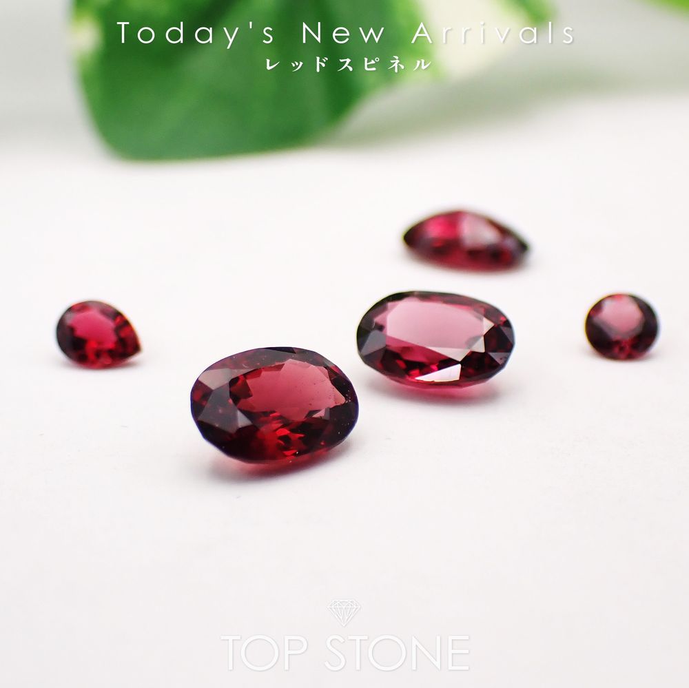 ’26 2月12日（木）新着 | レッドスピネル