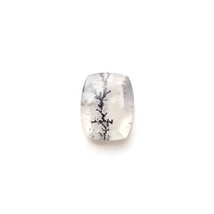 デンドリチッククォーツ ブラジル産 4.04ct[231224897]12.5x9.9mm前後