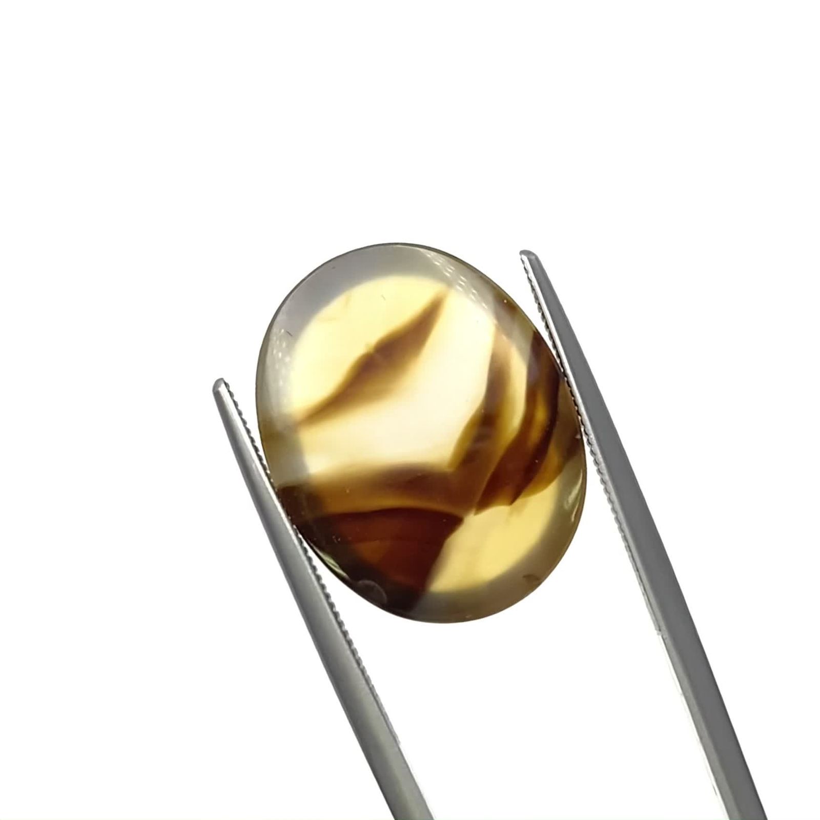 モンタナアゲート アメリカ・モンタナ州産 11.23ct / 19.1x15mm前後