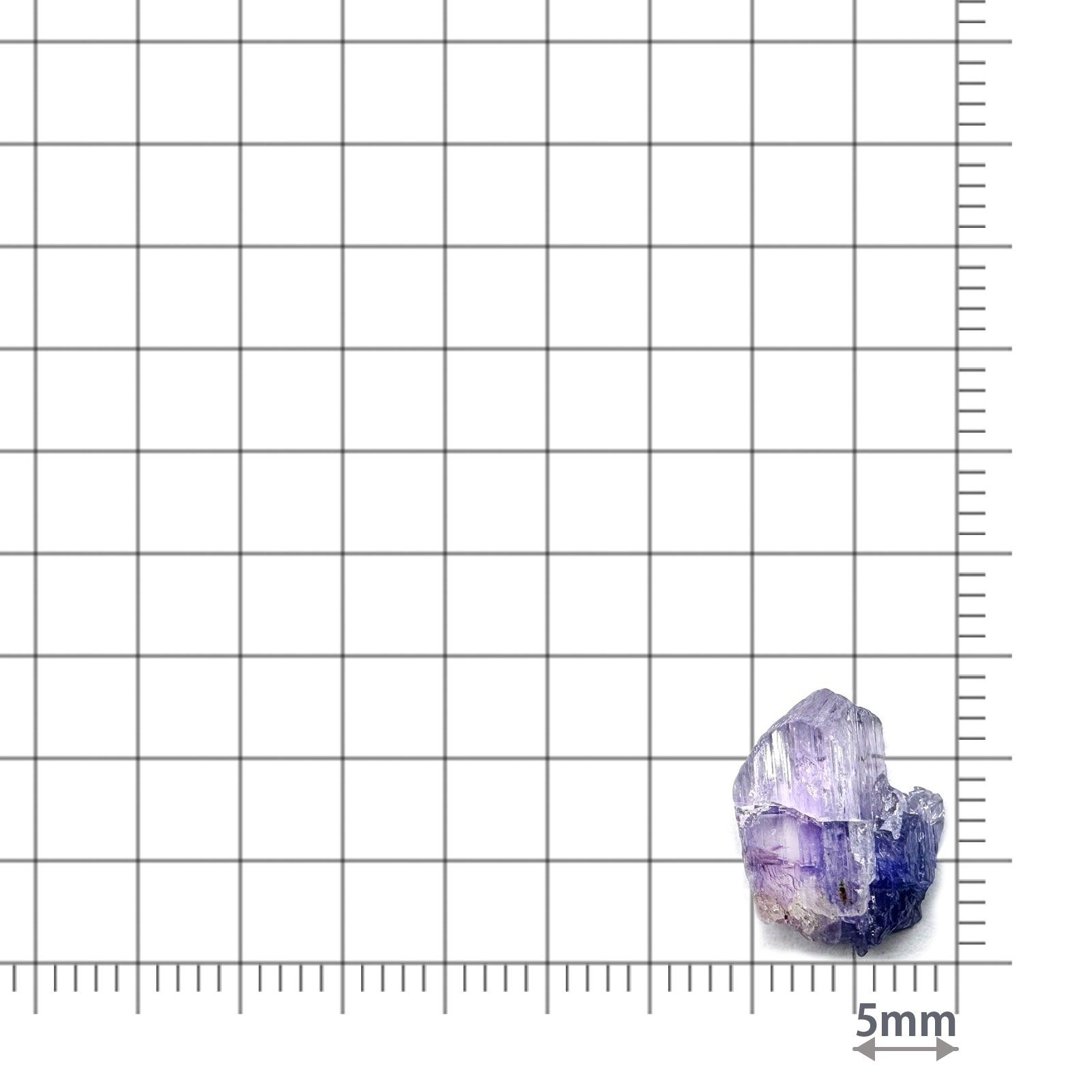 バイカラータンザナイト 原石 タンザニア産 4.24ct / 12.6x9.9mm前後 [260424987]