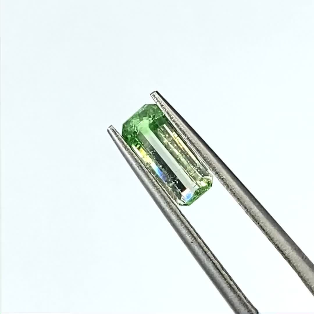 バイカラーツァボライト(宝石名グリーン グロッシュラー・ガーネット