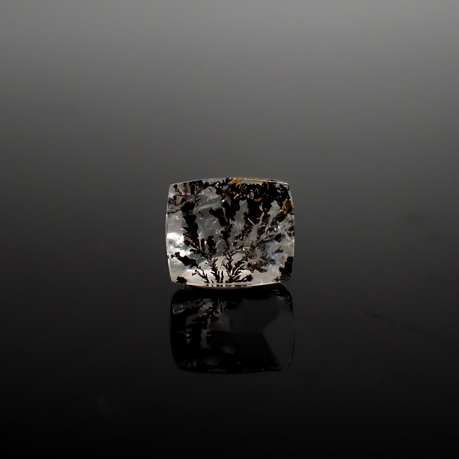 デンドリチッククォーツ ブラジル産 2.33ct / 8.9x7.5mm前後 [260832747]