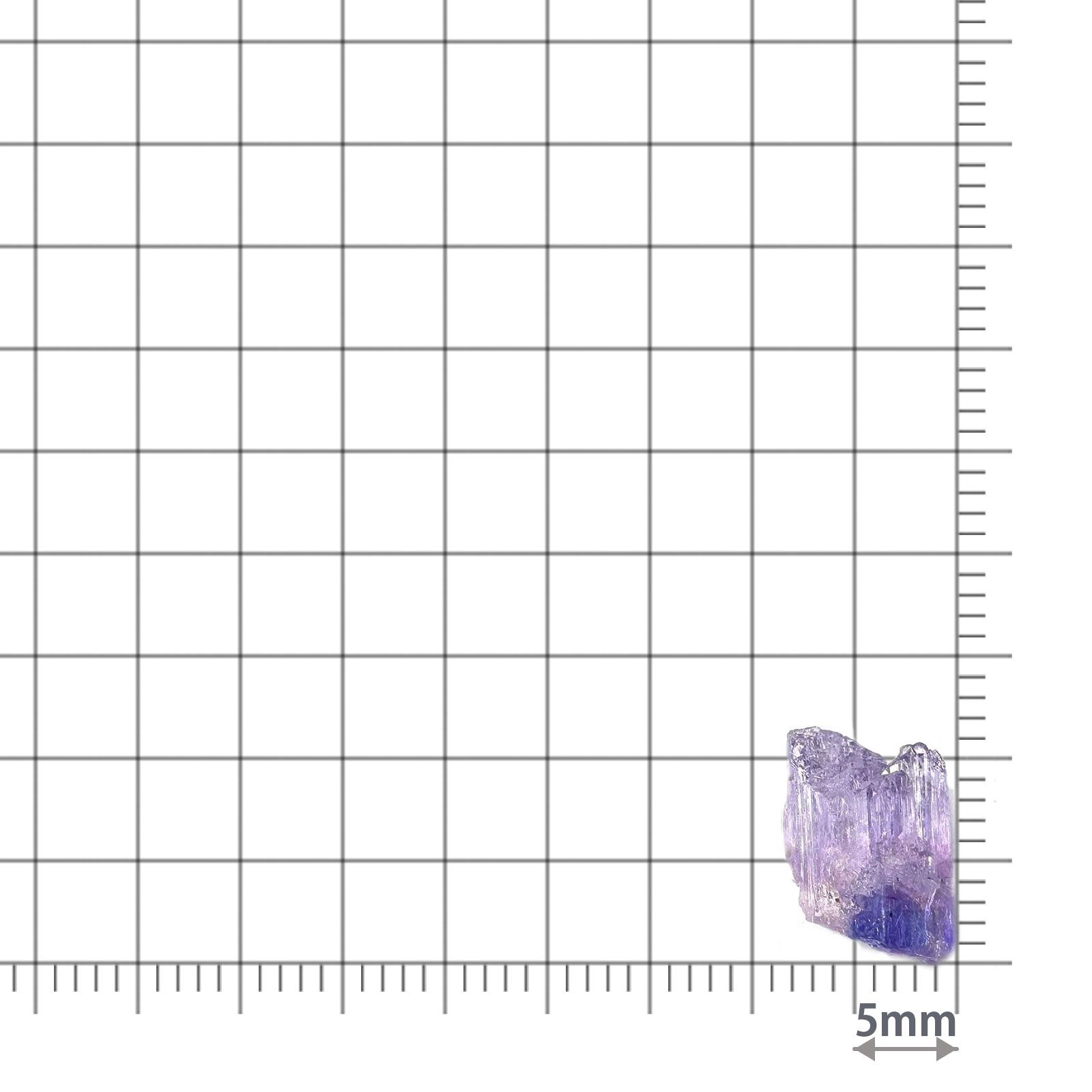 バイカラータンザナイト 原石 タンザニア産 2.88ct / 9.7x7.7mm前後 [260424984]