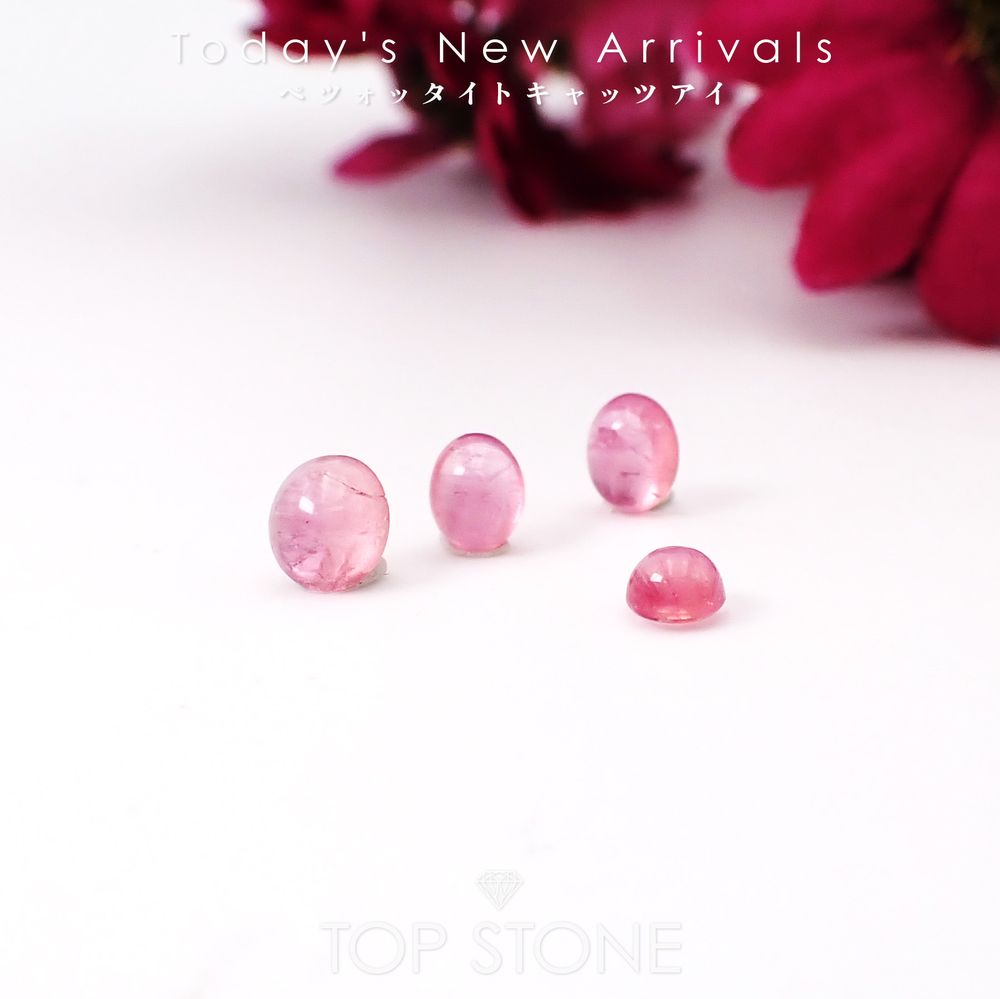 ’26 3月3日（火）新着 | ペツォッタイトキャッツアイ