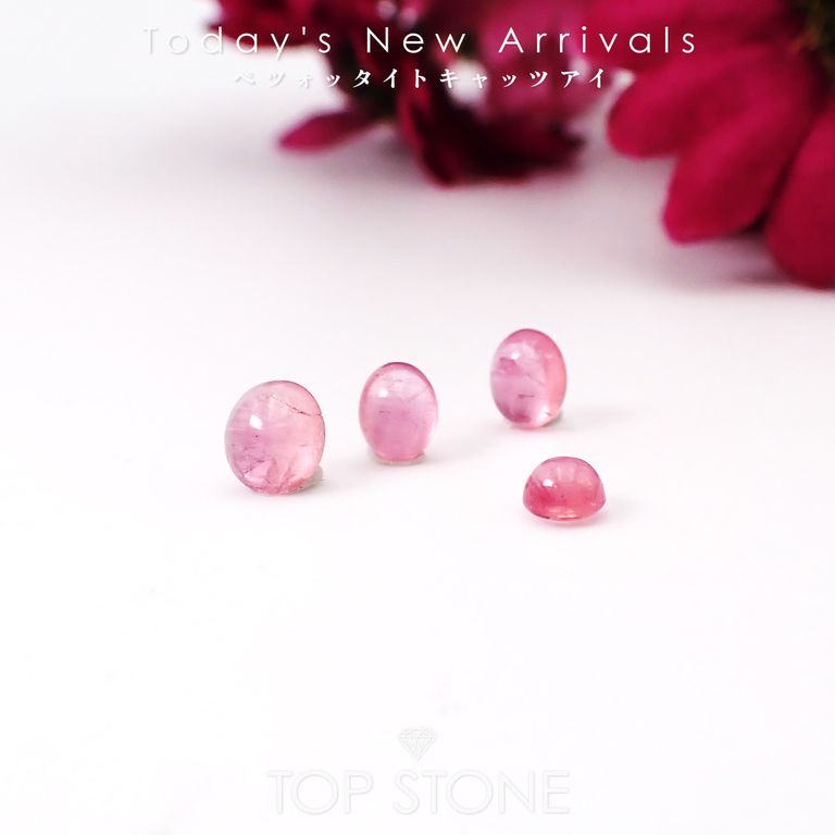 ’26 3月3日（火）新着 | ペツォッタイトキャッツアイ