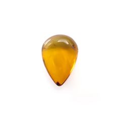 虫入り琥珀 コロンビア産 11.39ct [221018557]25.1x17.7mm前後