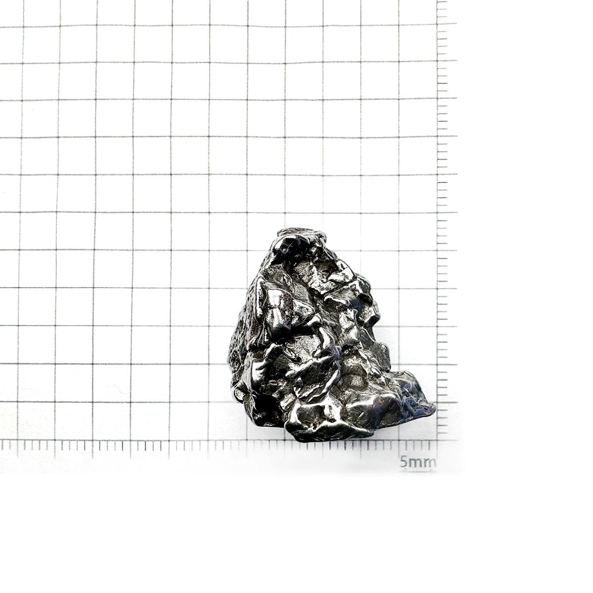 カンポ・デル・シエロ 隕石 原石 発見地：アルゼンチン 98.92ct [240125867]28x19.9mm前後