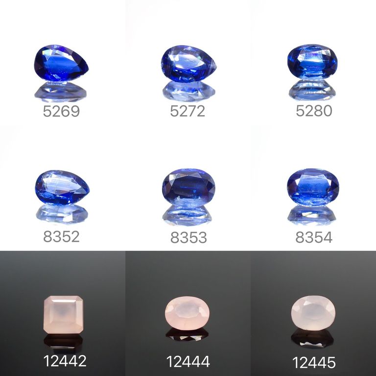 21/11/26 新発売！32アイテム