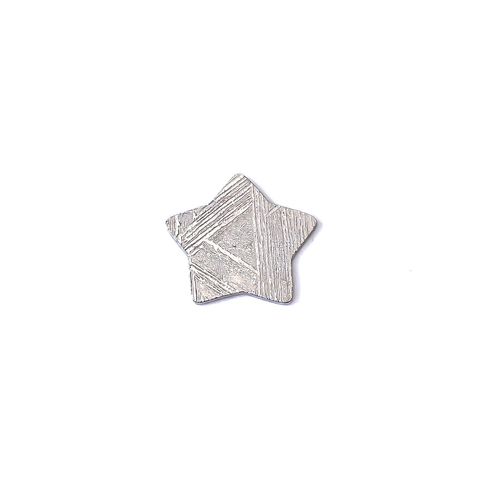◇カスタムカット・スター◇アルタイ隕石 発見地：中国 0.79ct [250330017]9.6x8.8mm前後