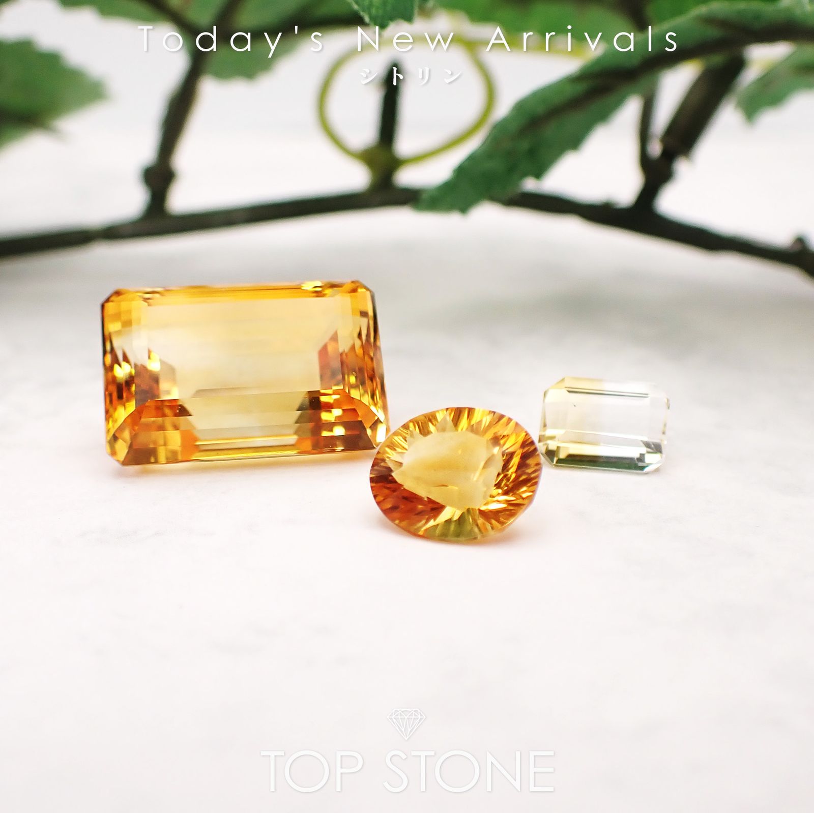 26 2月19日（木）新着 | シトリン | TOP STONE(トップストーン)