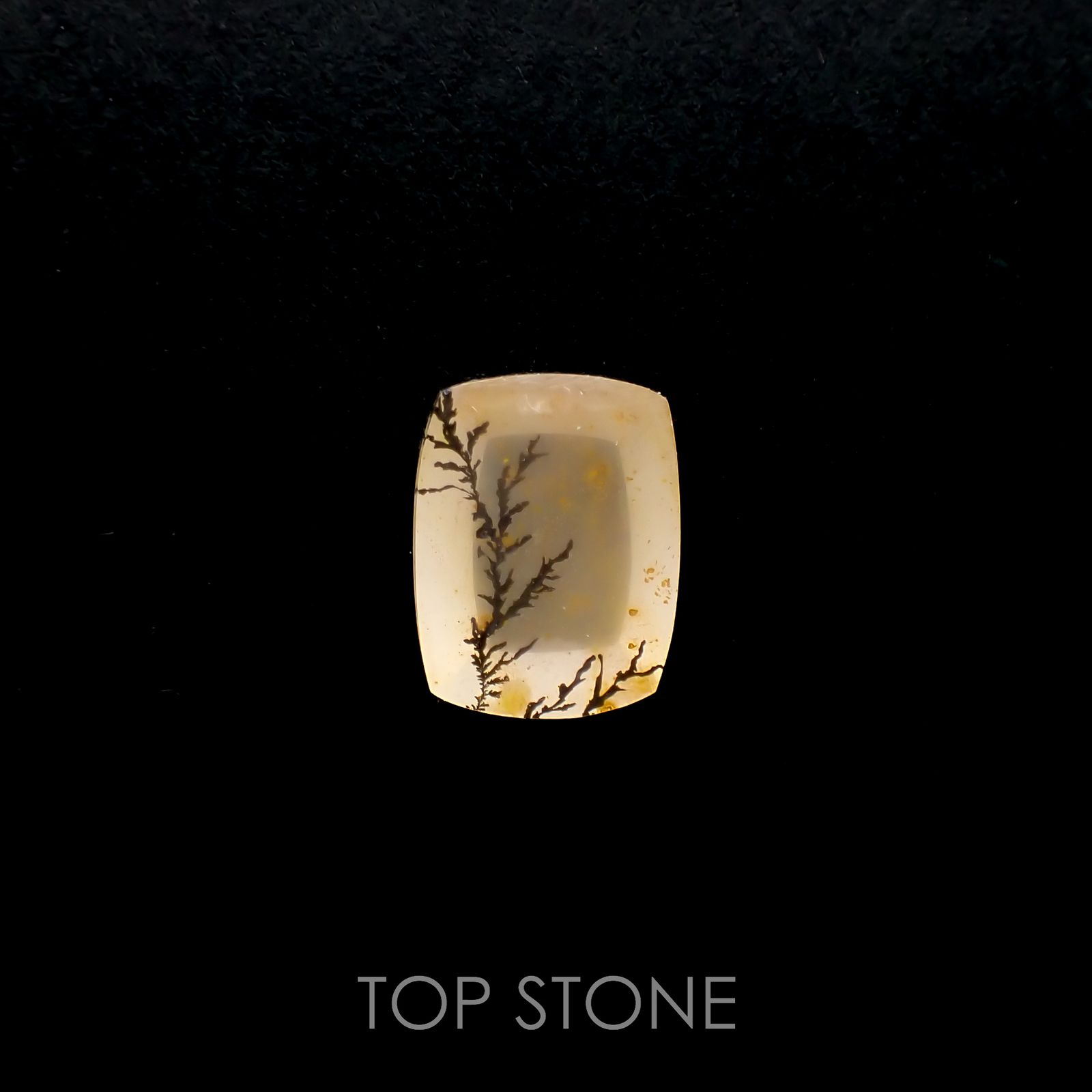 デンドリチッククォーツ ブラジル産 3.64ct[220616709]11.8x9.1mm前後