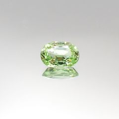 ミントガーネット(宝石名グリーン グロッシュラー・ガーネット)タンザニア・メレラニ鉱山産 1.22ct 識別済[230622486]7.8x5.6mm前後