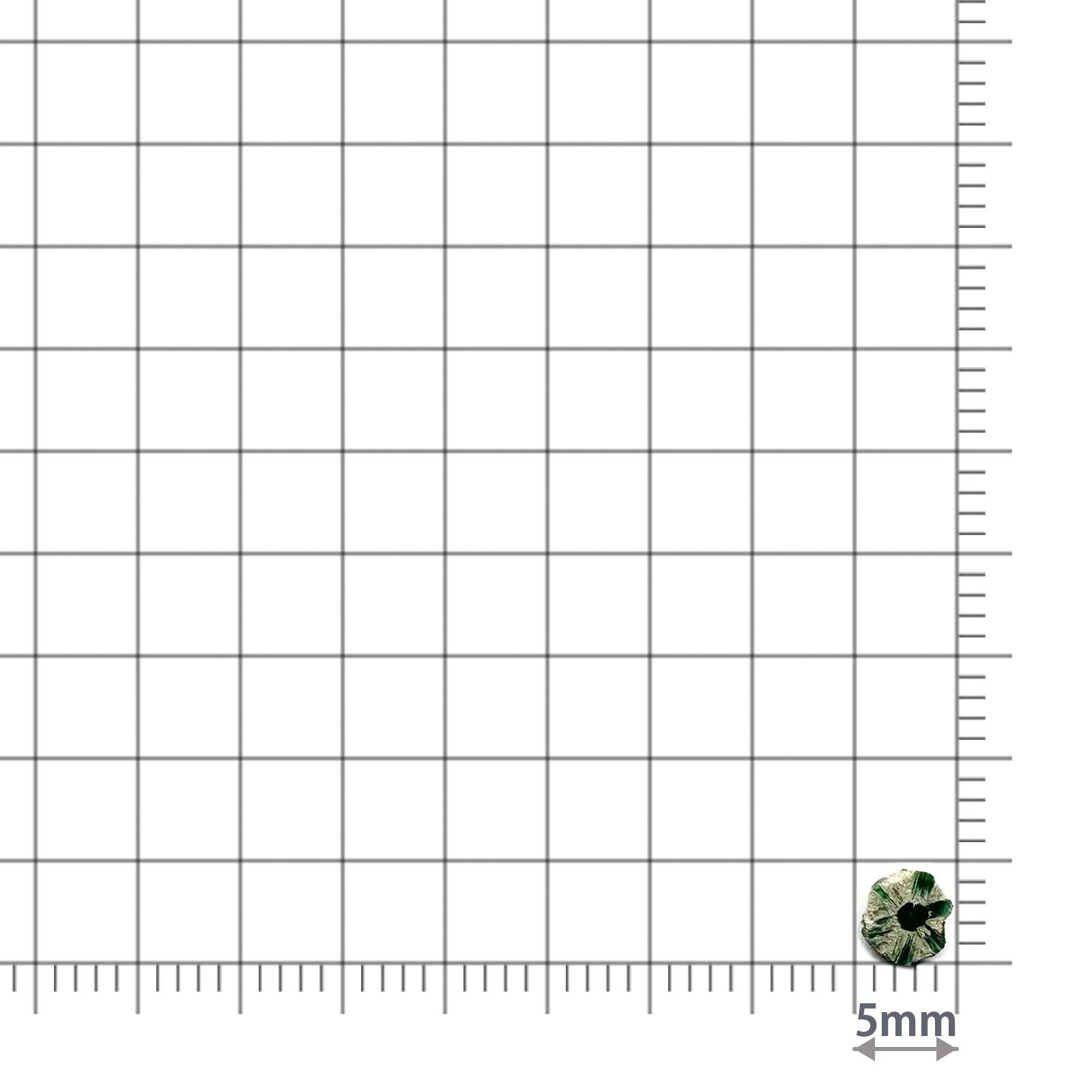 逆トラピッチェエメラルド 原石スライス コロンビア産 0.27ct / 4.5x4.4mm前後 [260427850]