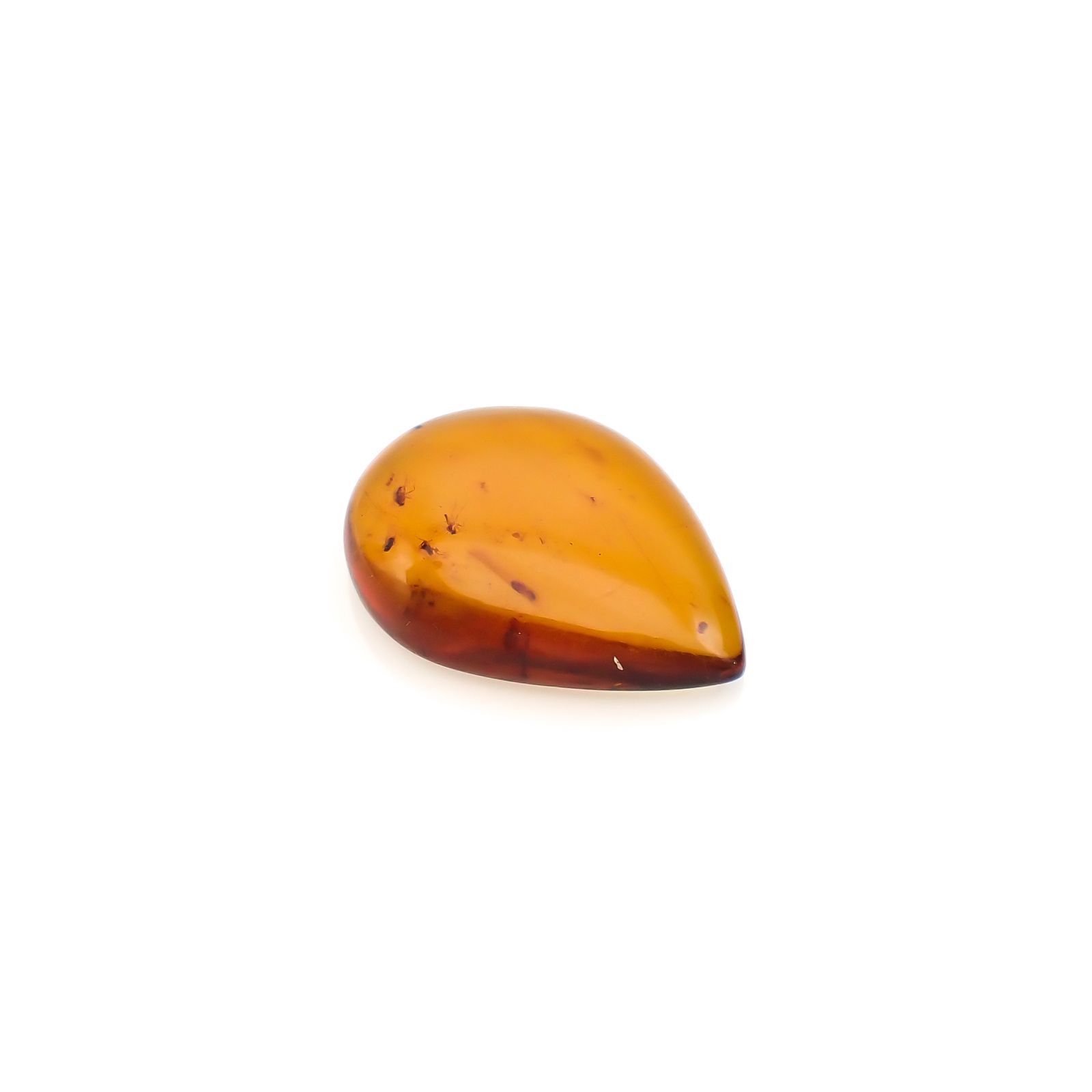 虫入り琥珀 コロンビア産 24.13ct [221018551]35.6x27.2mm前後