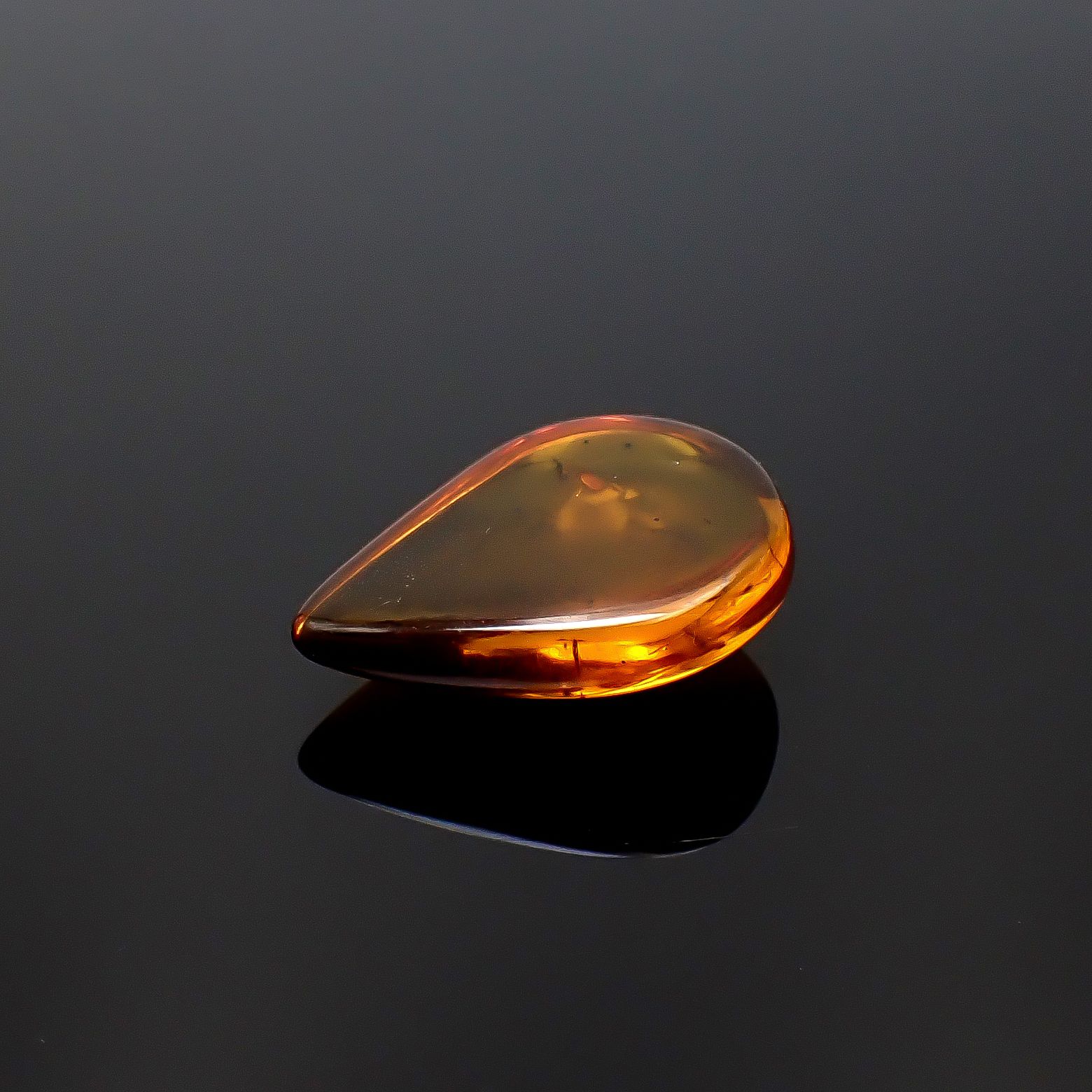 虫入り琥珀 コロンビア産 10.22ct [250530473]25.7x18.6mm前後