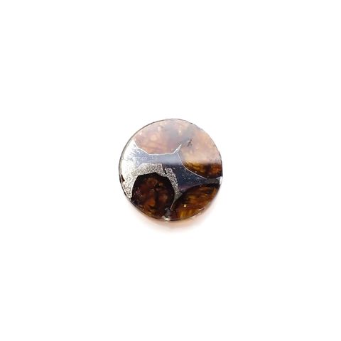 パラサイト隕石Sericho トリプレット 発見地：ケニア 4.42ct[231023673]12.2x12.2mm前後