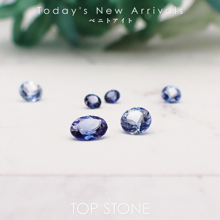 ’26 2月7日（土）新着 | ベニトアイト