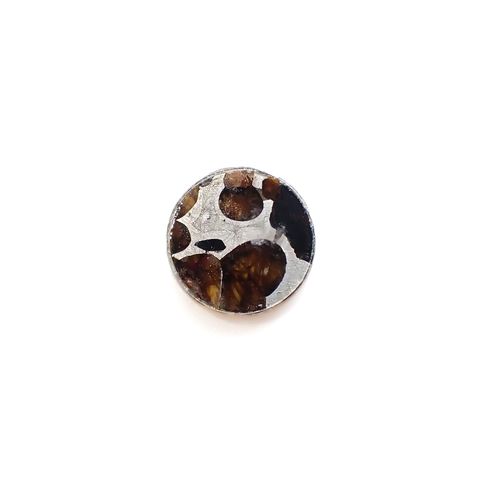 パラサイト隕石Sericho トリプレット 発見地：ケニア 4.88ct[231023674]11.9x12mm前後