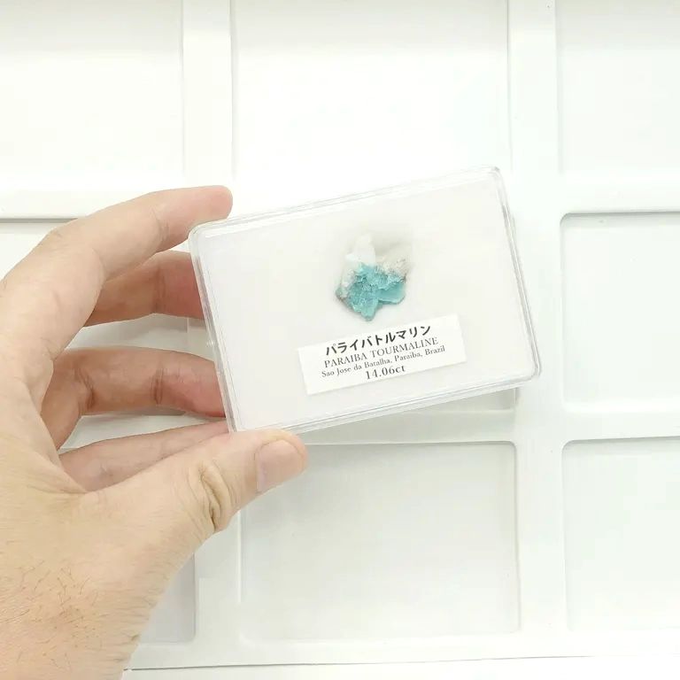 ルースケース大 9個セット専用トレー付き