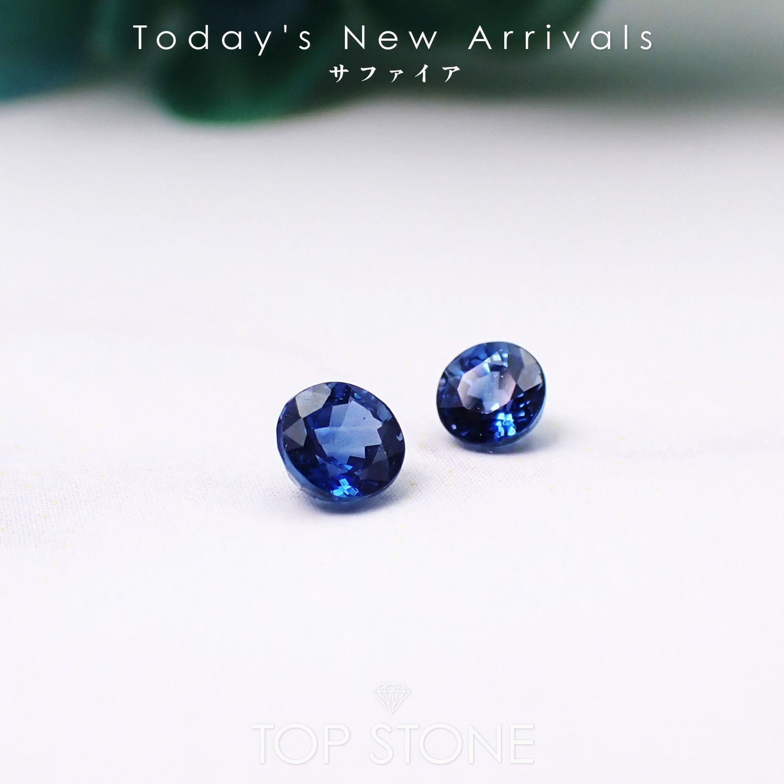 【新品】スペクターサファイア　15ポンド ◇STORM◇ ストーム スペクター サファイア 15P