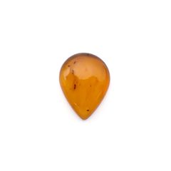 虫入り琥珀 コロンビア産 24.13ct [221018551]35.6x27.2mm前後