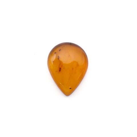 虫入り琥珀 コロンビア産 24.13ct [221018551]35.6x27.2mm前後