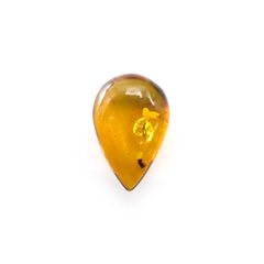 虫入り琥珀 コロンビア産 21.07ct [221018553]31.9x20.8mm前後