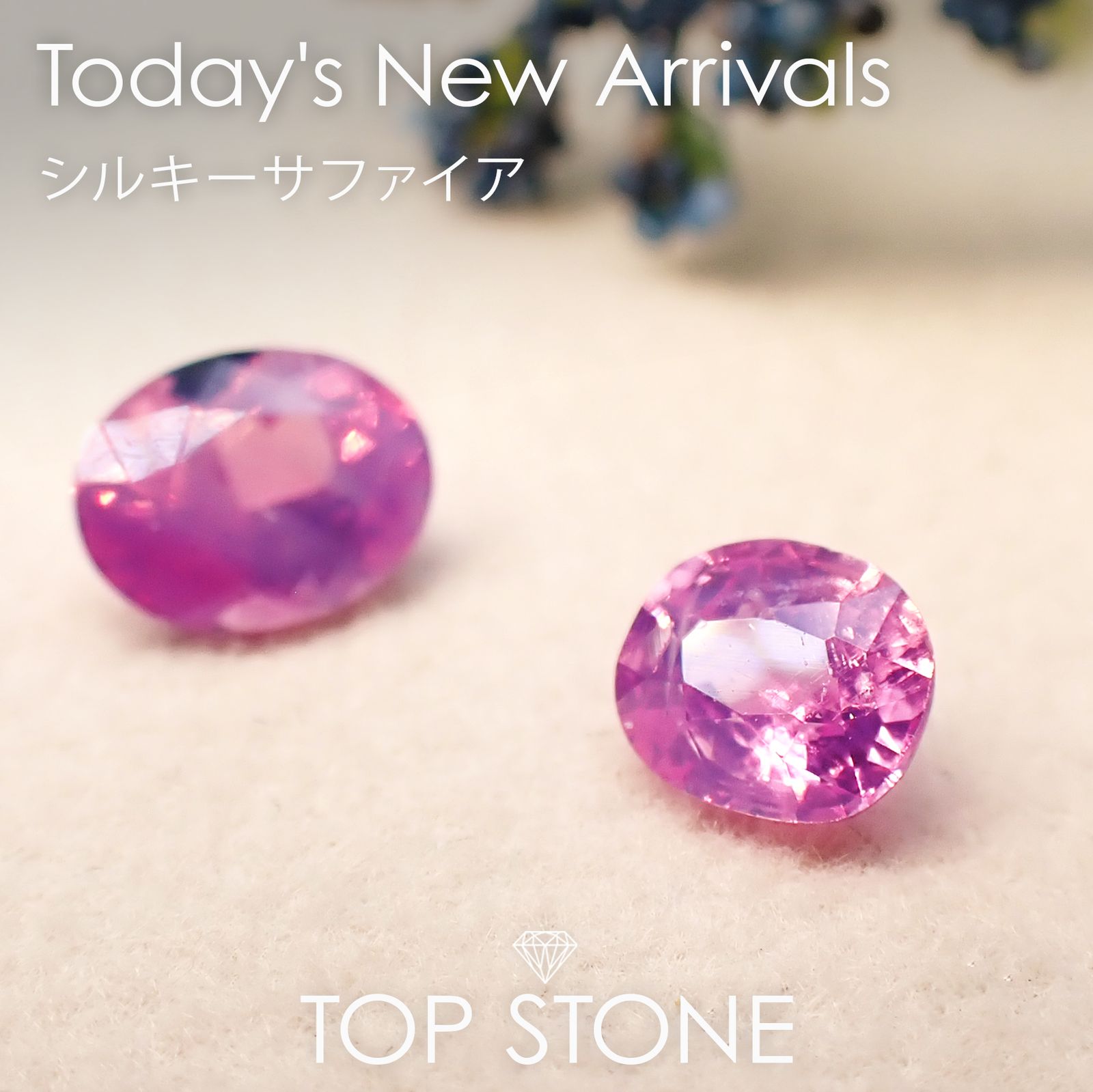 24 11月16日（土） 新着 | シルキーサファイア | TOP STONE(トップストーン)