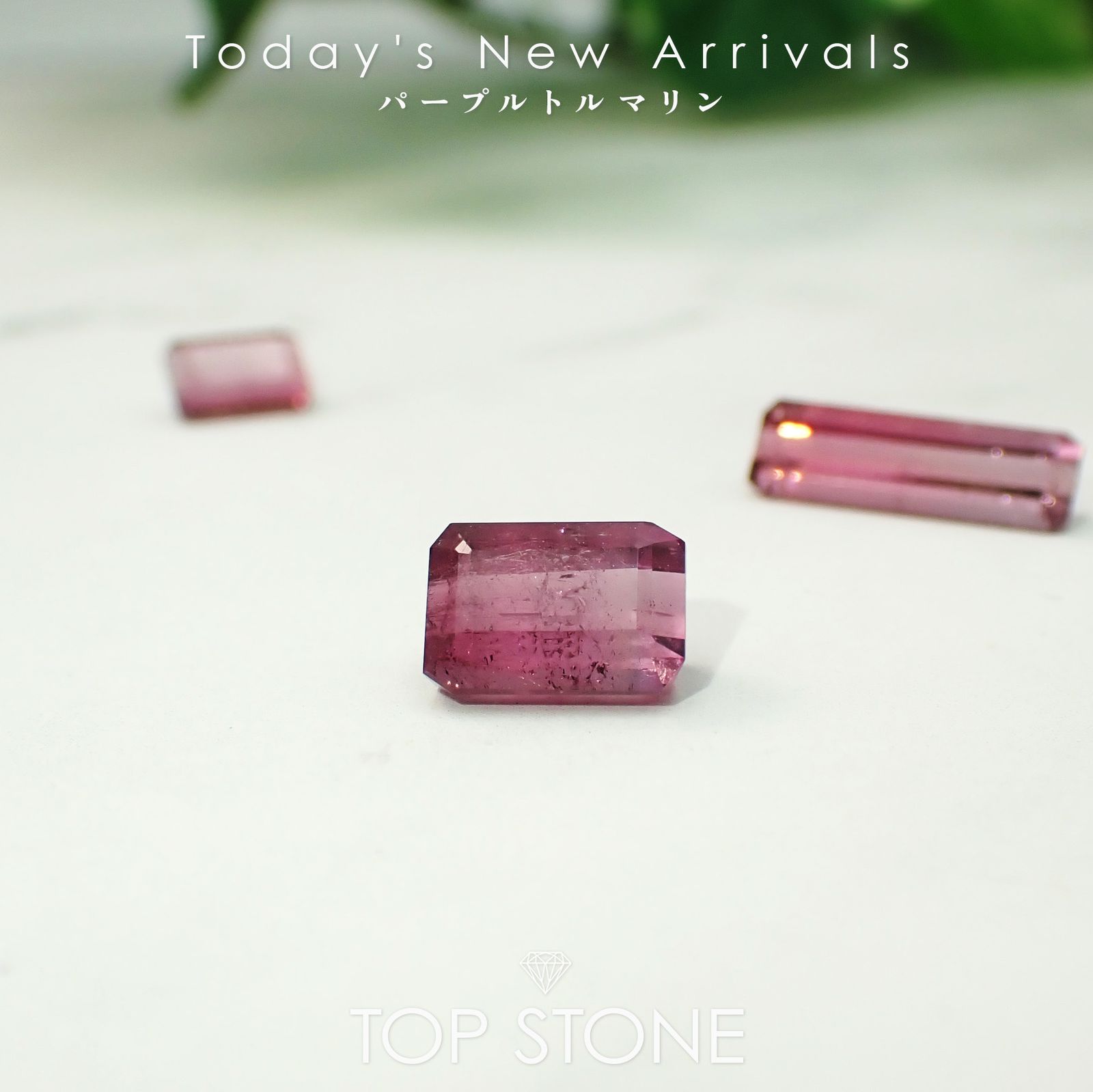 24 2月14日（水） レアストーン・希少石の日|新着9アイテム | TOP