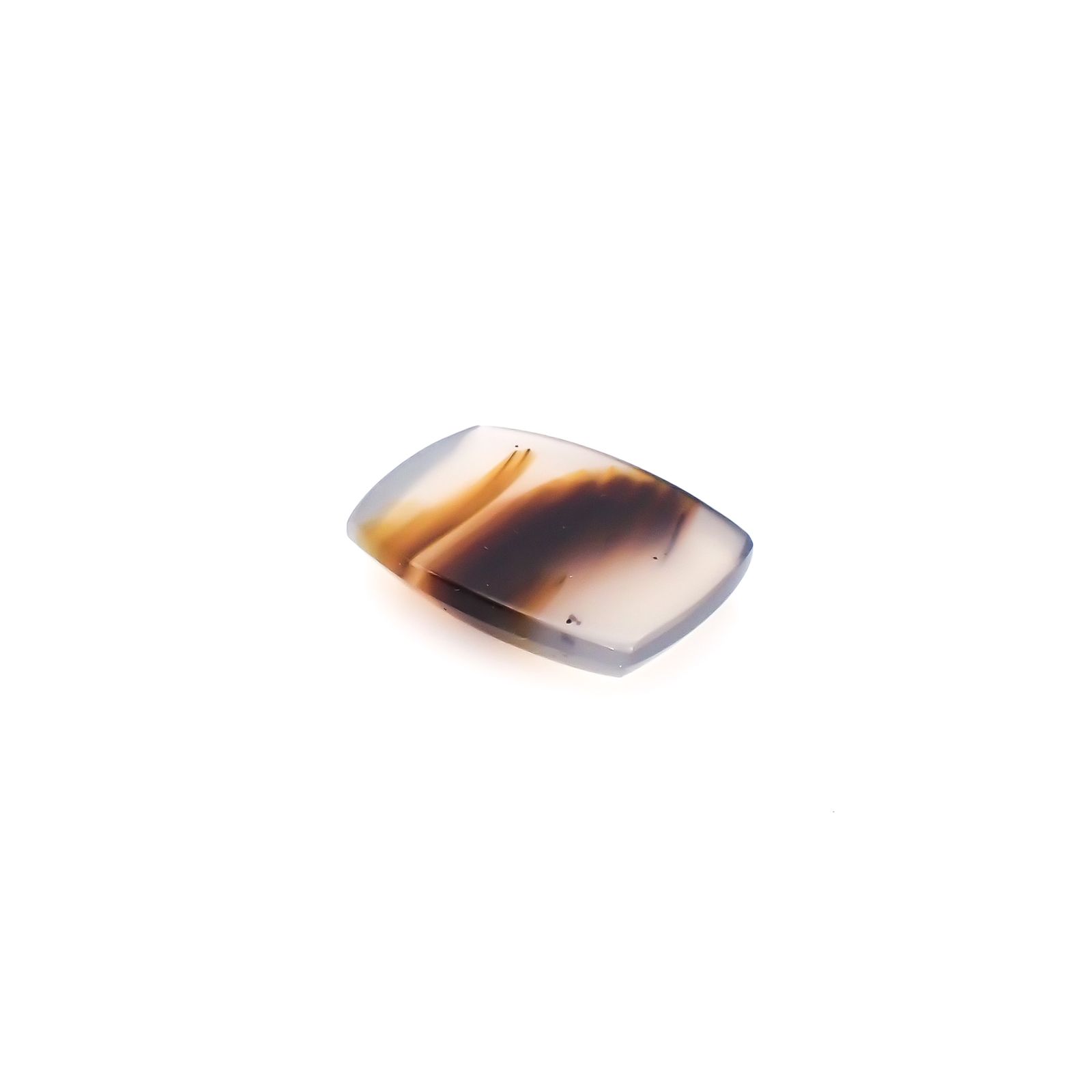 モンタナアゲート アメリカ・モンタナ州産 15.59ct[240427123]21.6x16.3mm前後