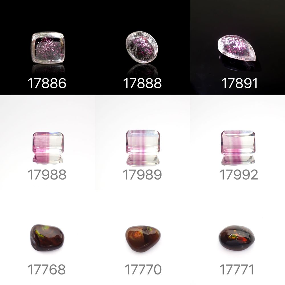 22/10/19 新発売!18アイテム