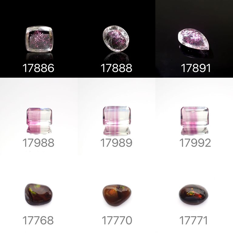 22/10/19 新発売！18アイテム