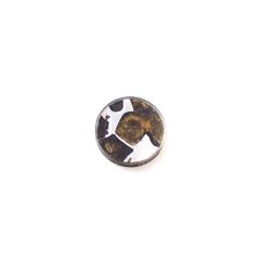 パラサイト隕石Sericho トリプレット 発見地:ケニア 4.07ct[240527644]11.9x11.9mm前後